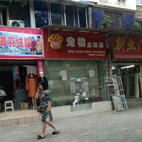宠物生活馆:成都市金牛区西安北路附近