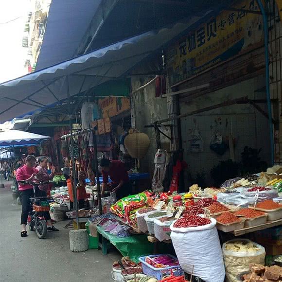 宠物宝贝:成都市金牛区西安北路附近