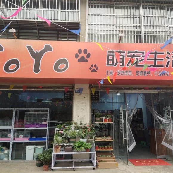 YoYo萌宠生活馆:成都市金牛区五块石附近