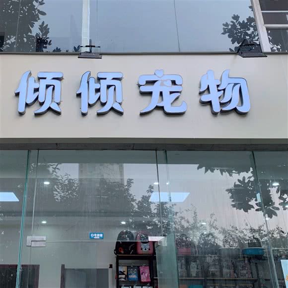 倾倾宠物:成都市金牛区五块石附近