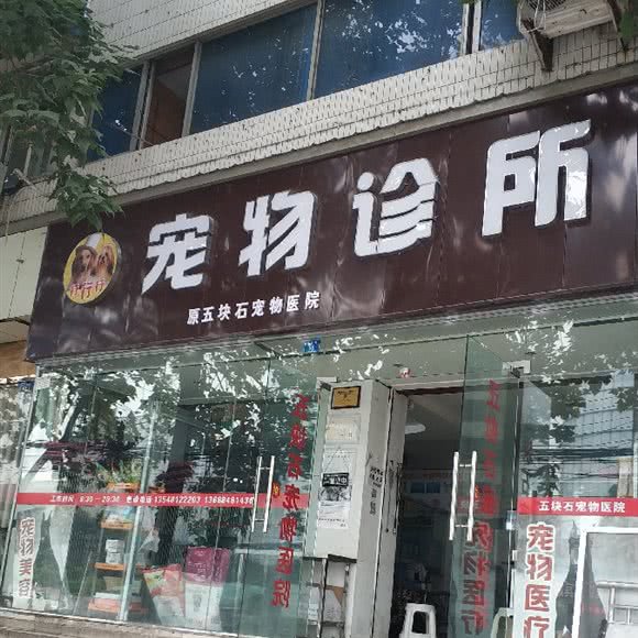 行行行行宠物诊所:成都市金牛区火车站附近