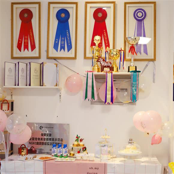 慕恩宠物:成都市武侯区高新区附近