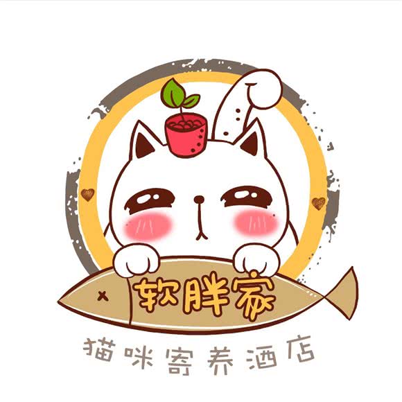 硬胖家猫咪寄养酒店:成都市武侯区高新区附近