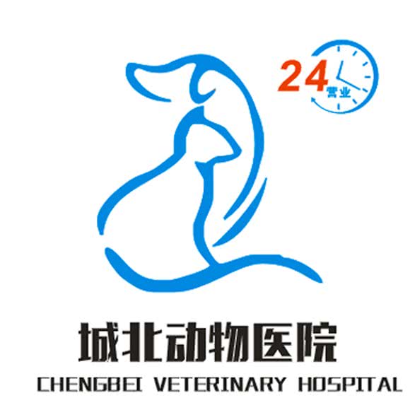 城北动物医院:石家庄市长安区体育北大街附近
