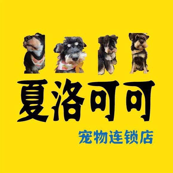 夏洛可可宠物狗美容连锁:成都市武侯区高新区附近