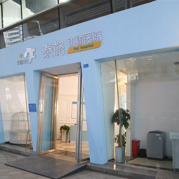 泰格动物医院  24钟头:成都市武侯区高新区附近