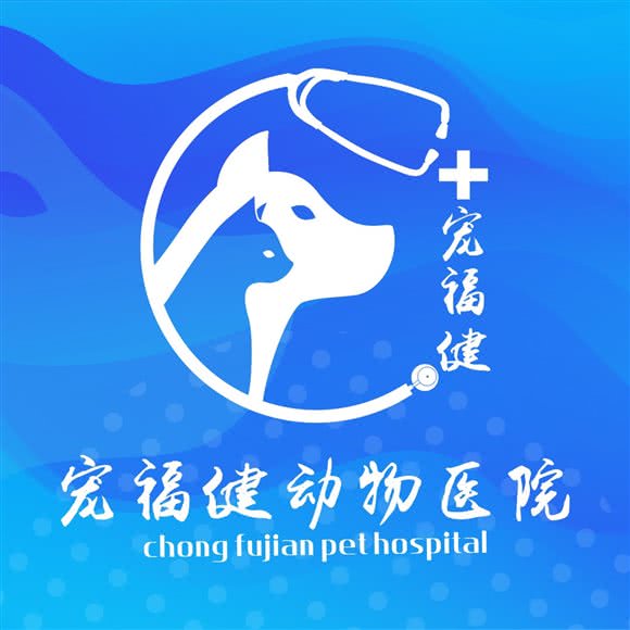宠福健动物医院:成都市武侯区高新区附近