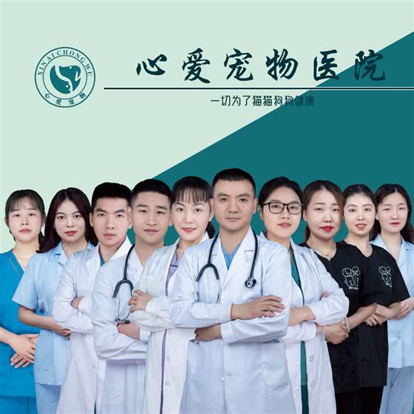 心爱宠物医院(保利心语店):成都市武侯区高新区附近