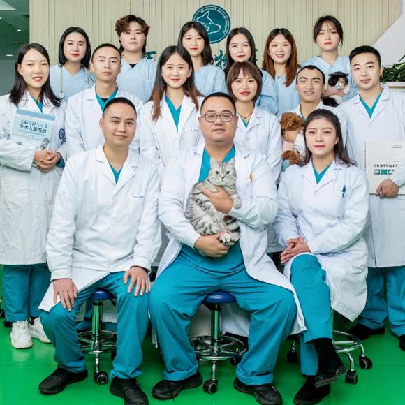 顺泰宠物医院:成都市武侯区高新区附近