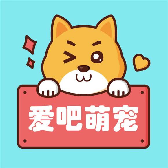 爱吧宠物生活馆(大经街店):石家庄市桥西区中山西路附近