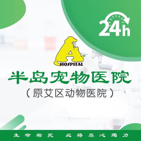 半岛宠物医院24小时(科华中路店):成都市武侯区科华北路附近