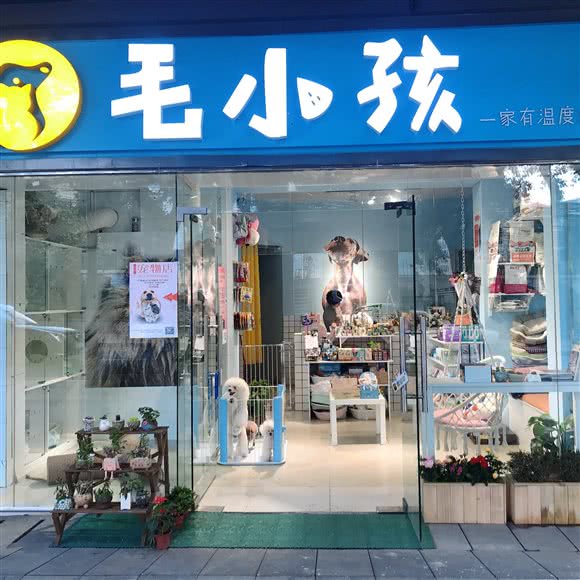 毛小孩宠屋(芳草店):成都市武侯区玉林/芳草街附近