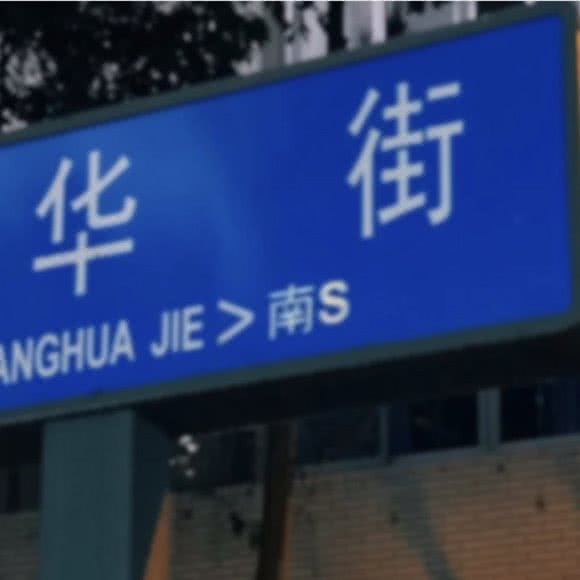 胖鬼旅舍家庭猫咪寄养:成都市武侯区玉林/芳草街附近