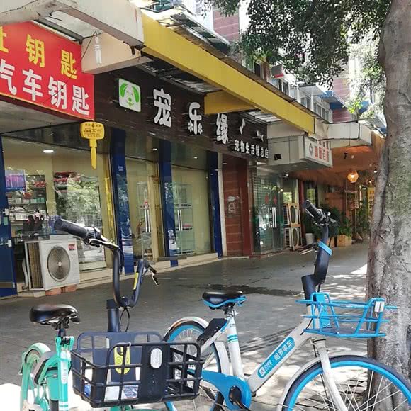 宠乐缘:成都市武侯区双楠附近