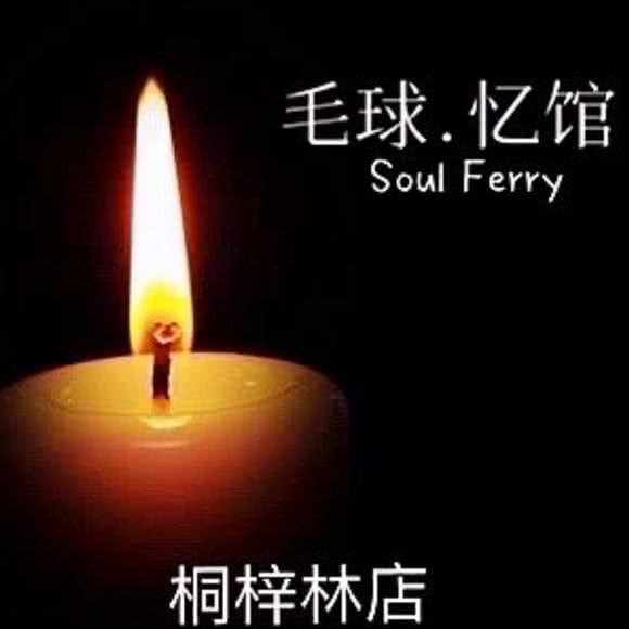 毛球·忆馆宠物火化殡葬中心:成都市武侯区桐梓林附近