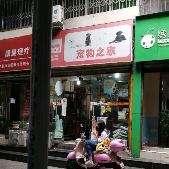 宠物之家:成都市武侯区高升桥附近