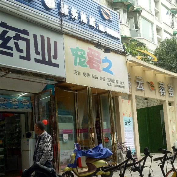 宠爱之家:成都市武侯区少陵路附近