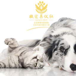 NING PET凝宠葬仪社:成都市武侯区红牌楼附近