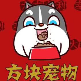 方块宠物(勒泰店):石家庄市桥西区中山西路附近