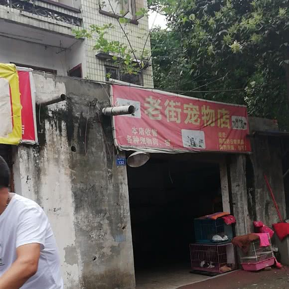 老街宠物店:成都市武侯区簇桥附近