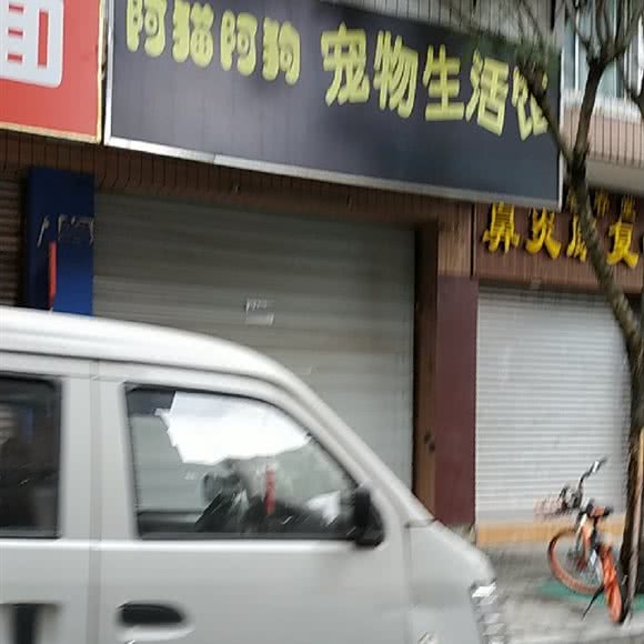 阿猫阿狗宠物生活馆:成都市武侯区簇桥附近