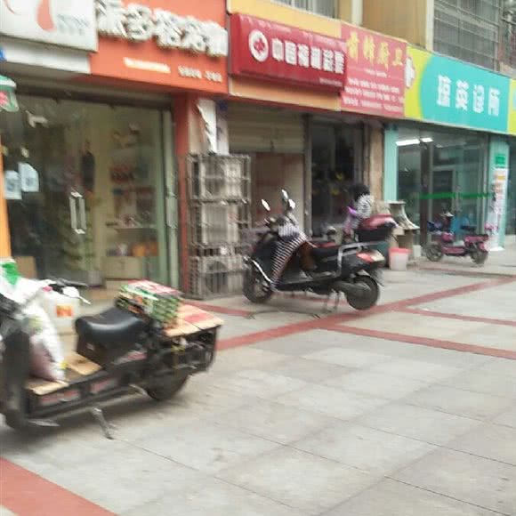 派多格宠物:成都市武侯区机投附近