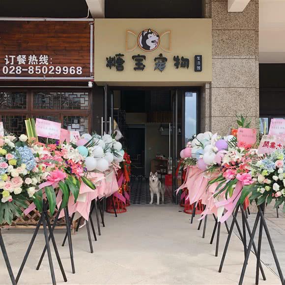 糖宝宠物生活馆:成都市武侯区保利花园附近