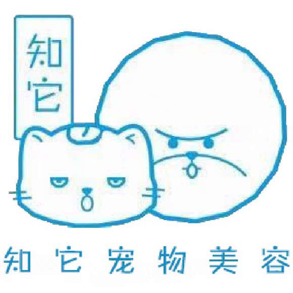 知它宠物美容:成都市武侯区保利花园附近