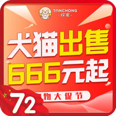 探宠·犬猫舍宠物直营店(武青南路店):成都市武侯区保利花园附近
