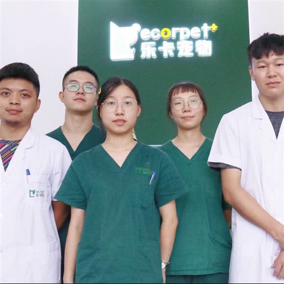 乐卡宠物医院24小时:成都市武侯区保利花园附近