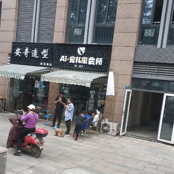 ai·宠私家会所:成都市武侯区金花附近