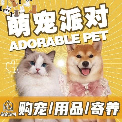 萌宠派对精品宠物生活馆:成都市武侯区汇锦城/铁像寺附近