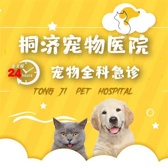 桐济24小时宠物诊所:成都市武侯区武侯万达附近