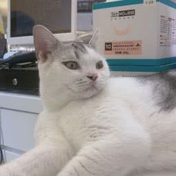 怪兽元(银泰城店):成都市武侯区银泰城附近