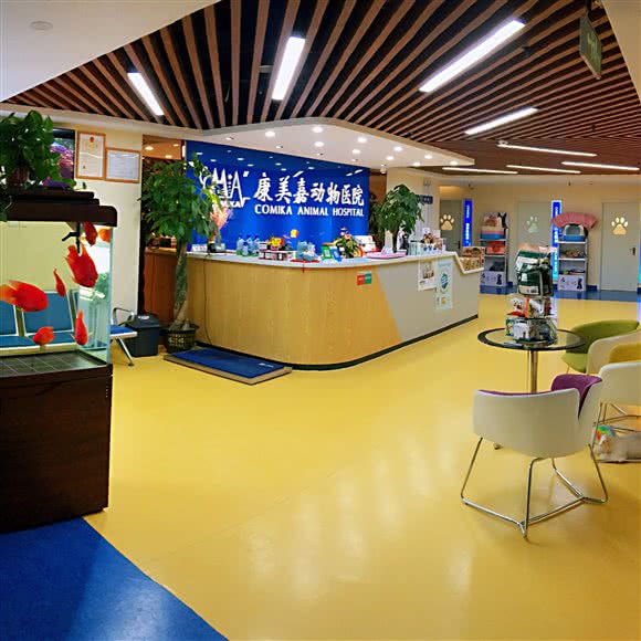 康美嘉动物医院:石家庄市桥西区中山西路附近