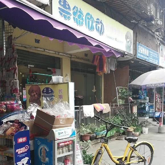 果然欣动宠物生活馆:成都市成华区双林路附近