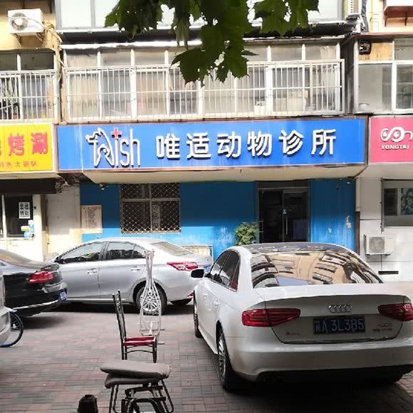 唯适动物诊所:石家庄市桥西区中山西路附近