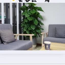 忆宠:成都市成华区驷马桥/动物园附近