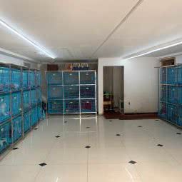 东东荣宠物店:成都市成华区驷马桥/动物园附近