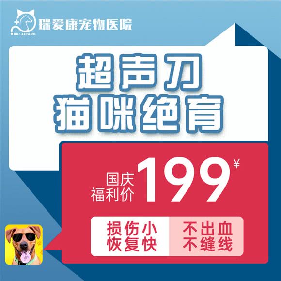 瑞爱康宠物医院24半小时:成都市成华区驷马桥/动物园附近