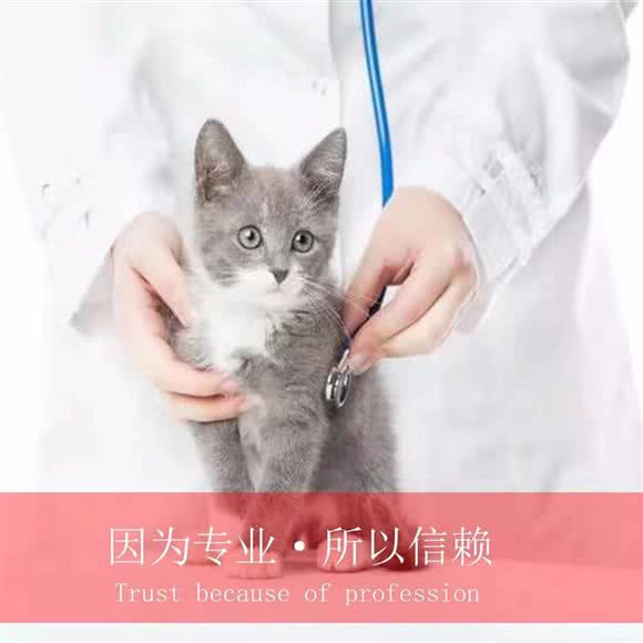 乐宠动物医院:石家庄市桥西区中山西路附近