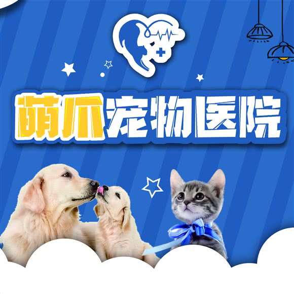 萌爪宠物医院:成都市成华区东郊记忆/音乐公园附近