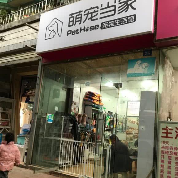 萌宠当家:成都市成华区八里庄附近