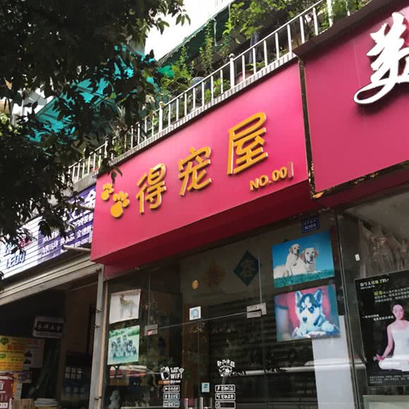 得宠屋:成都市成华区八里庄附近