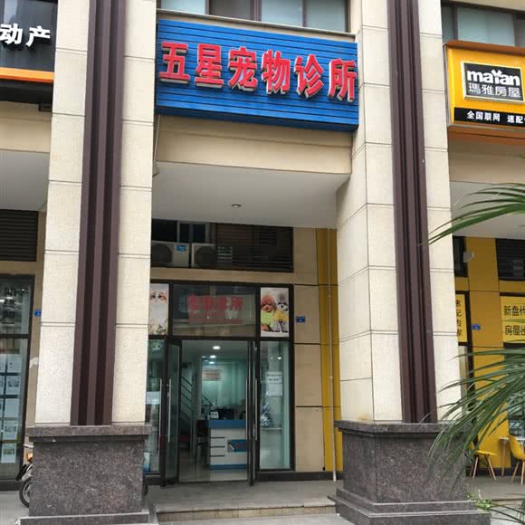 五星宠物诊所:成都市成华区成渝立交附近
