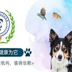 爱康·动物医院联盟:石家庄市桥西区火车站/解放广场附近