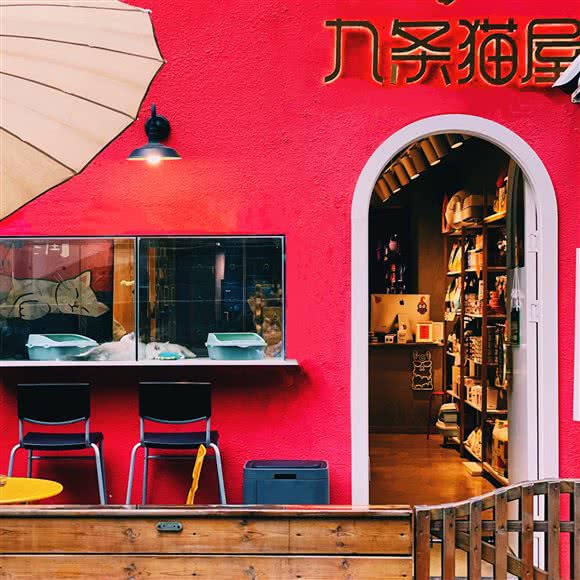 九条猫屋(万象城店):成都市成华区万年场/万象城附近