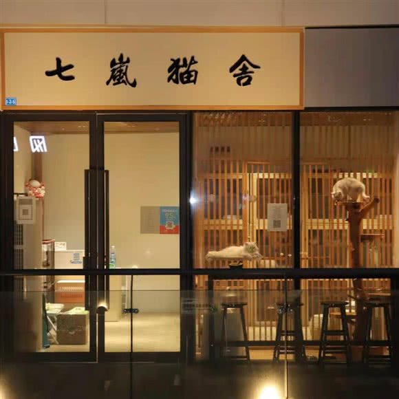 七岚猫舍:成都市成华区成都东站附近