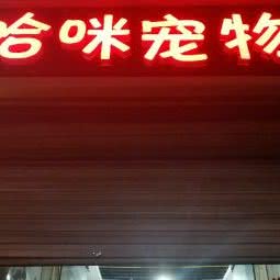 哈咪宠物:石家庄市桥西区红旗大街槐安路附近