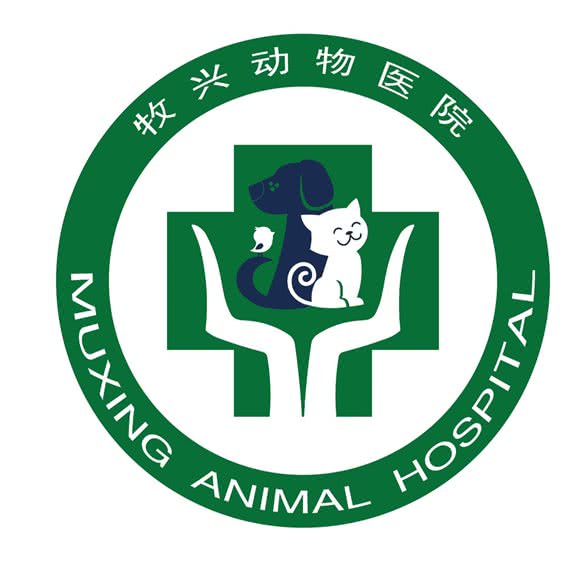 牧兴动物医院外科中心(新石店):石家庄市桥西区红旗大街槐安路附近